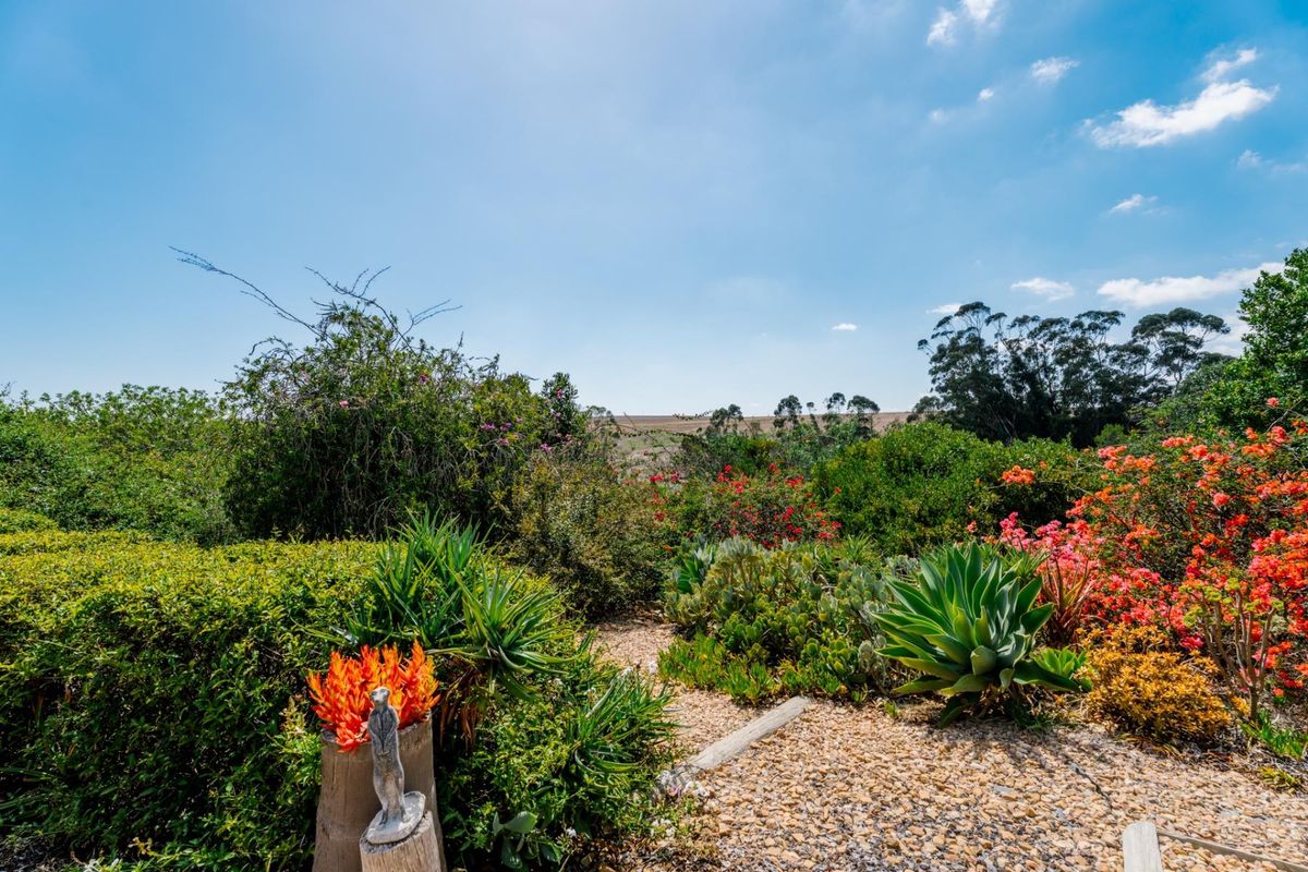 Tranquil 2-Bedroom Country House for Sale in Napier R2980 000 - Photo 4