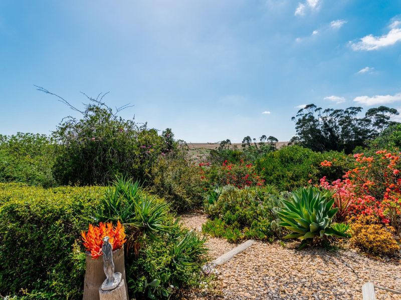 Tranquil 2-Bedroom Country House for Sale in Napier R2980 000 - Photo 4