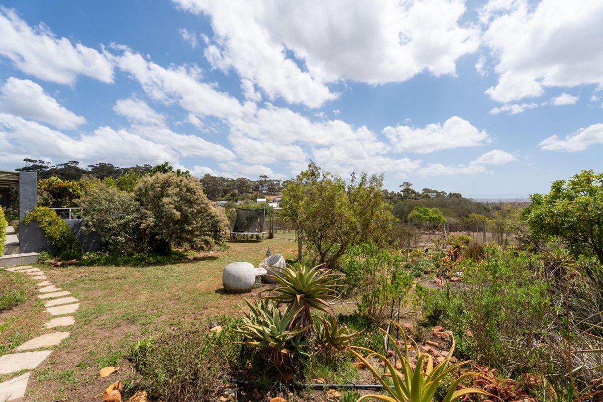 Setters Rest  - Napier, Overberg 4 Bedroomed farmhouse on smallholding R3.5m - Photo 3