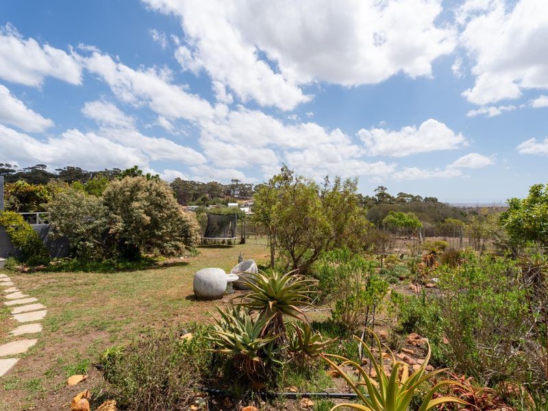 Setters Rest  - Napier, Overberg 4 Bedroomed farmhouse on smallholding R3.5m - Photo 3