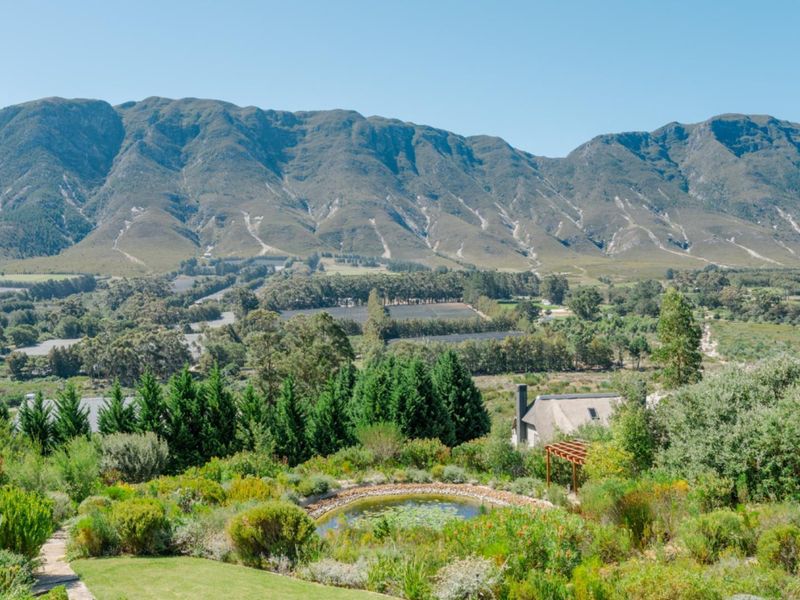 House Under Offer in Hemel en Aarde Valley Hermanus - Photo 6