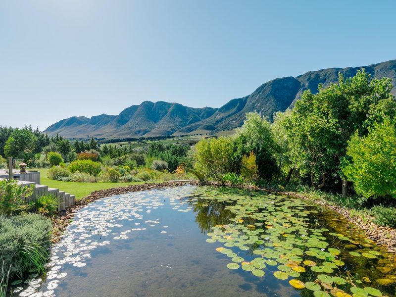 House Under Offer in Hemel en Aarde Valley Hermanus - Photo 10