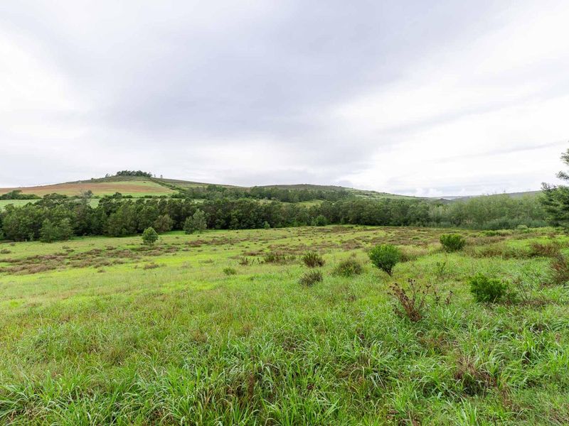 Five Hectare Farm close to Mountain Albertinia district with water rights - Photo 10