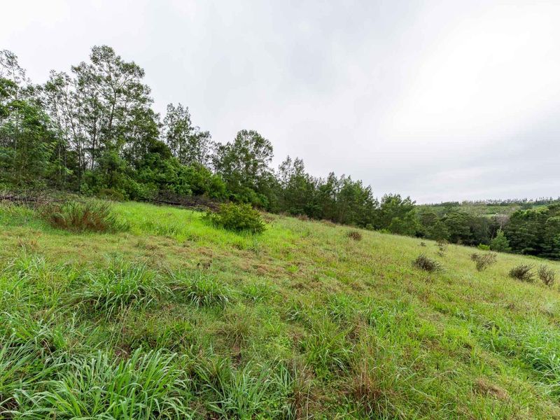 Five Hectare Farm close to Mountain Albertinia district with water rights - Photo 9