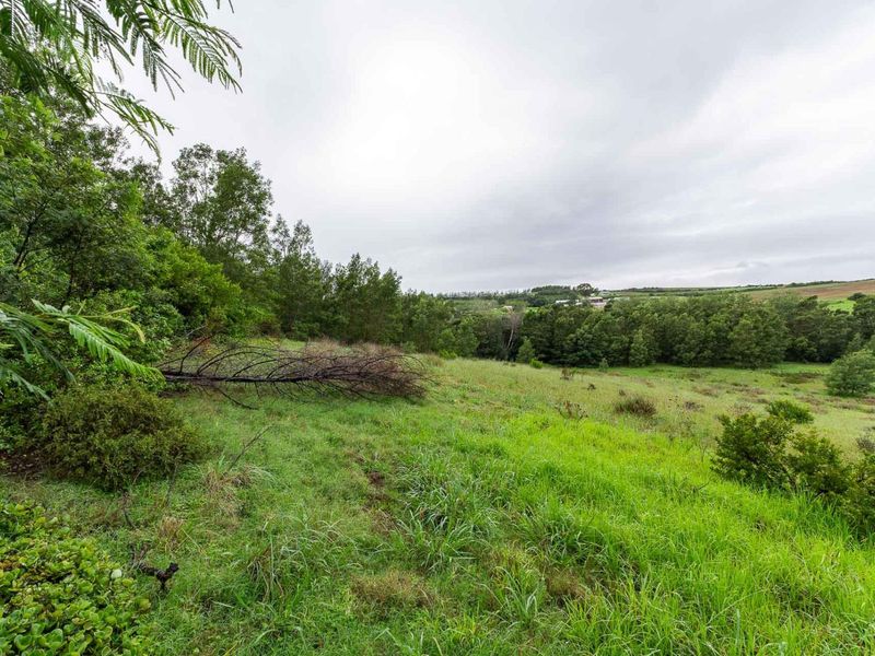 Five Hectare Farm close to Mountain Albertinia district with water rights - Photo 7