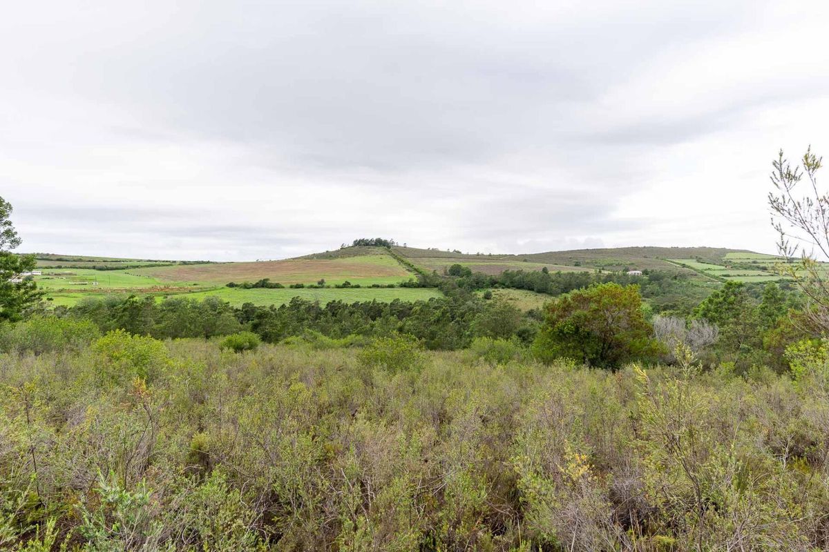 Five Hectare Farm close to Mountain Albertinia district with water rights - Photo 5
