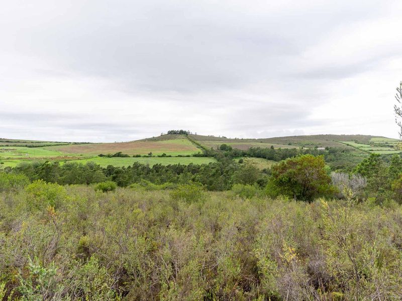 Five Hectare Farm close to Mountain Albertinia district with water rights - Photo 5