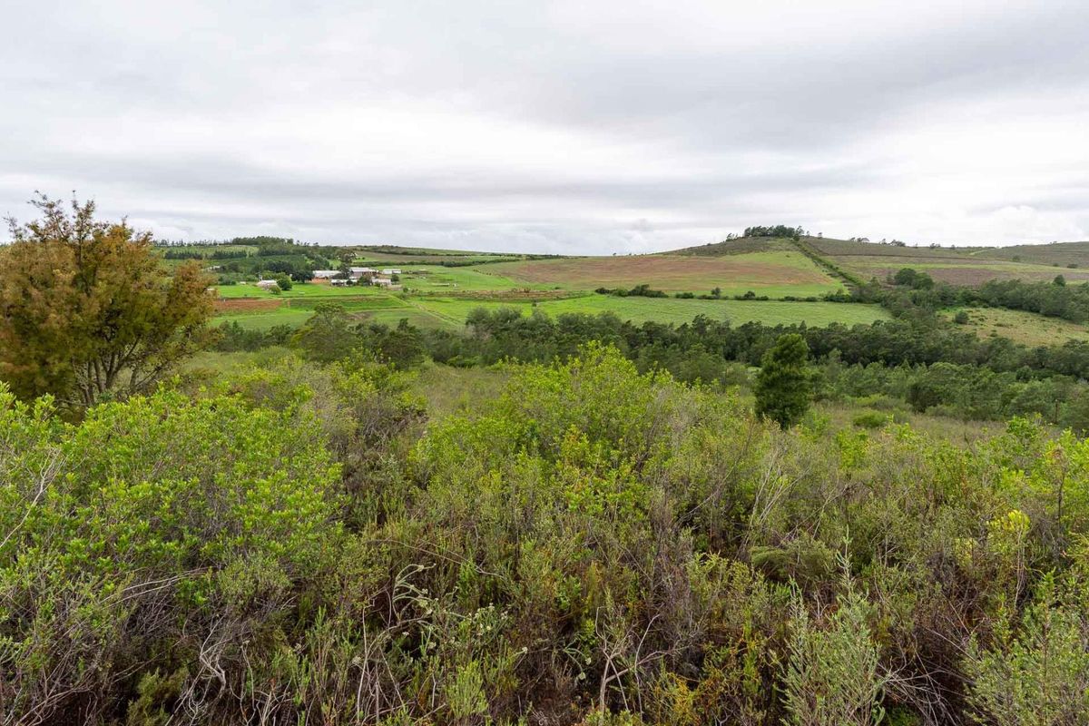 Five Hectare Farm close to Mountain Albertinia district with water rights - Photo 2