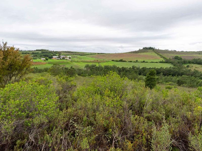 Five Hectare Farm close to Mountain Albertinia district with water rights - Photo 2