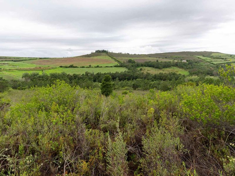 Five Hectare Farm close to Mountain Albertinia district with water rights - Photo 1