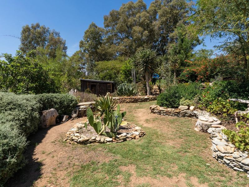 A COUNTRY HAVEN WITH A COTTAGE IN PICTURESQUE MCGREGOR. ​ - Photo 5