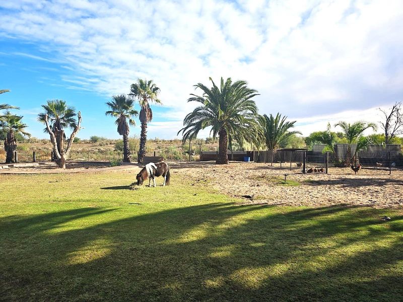 Magnificent 4-Bedroom Home with Spacious Yard and Scenic Views - Photo 1