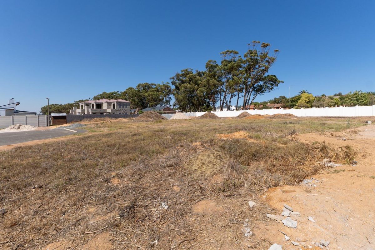 LAND, LOTS OF LAND - Photo 3