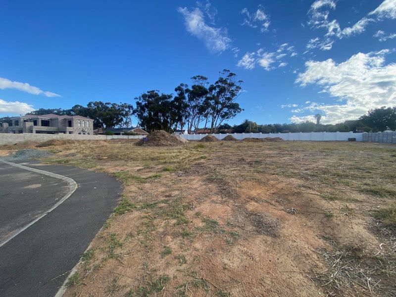 LAND, LOTS OF LAND - Photo 2