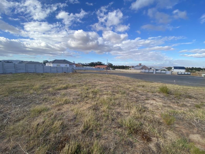 LAND, LOTS OF LAND - Photo 1