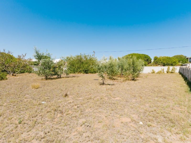 LARGE PLOT -  SERIOUS VALUE - DON’T MISS THIS - Photo 10