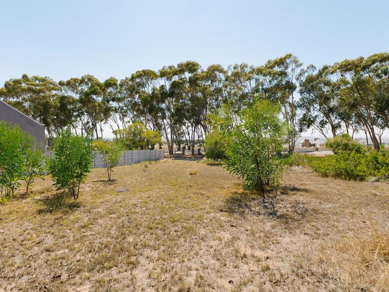 LARGE PLOT -  SERIOUS VALUE - DON’T MISS THIS - Photo 8