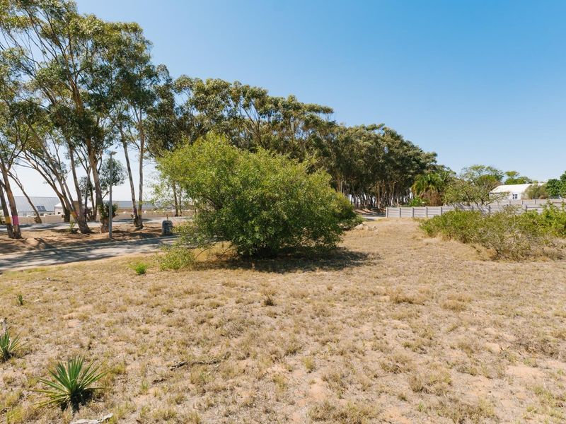 LARGE PLOT -  SERIOUS VALUE - DON’T MISS THIS - Photo 9