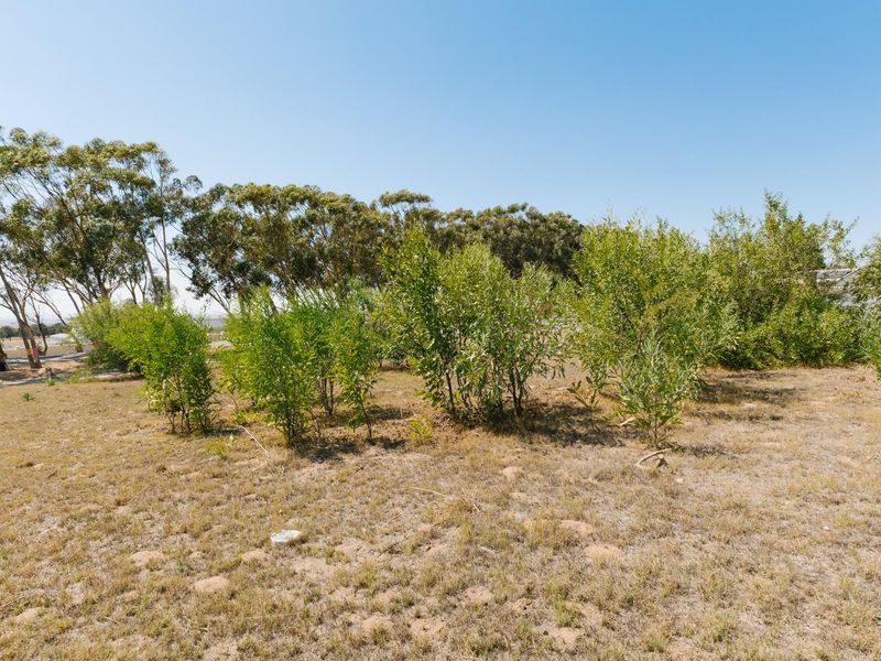 LARGE PLOT -  SERIOUS VALUE - DON’T MISS THIS - Photo 7