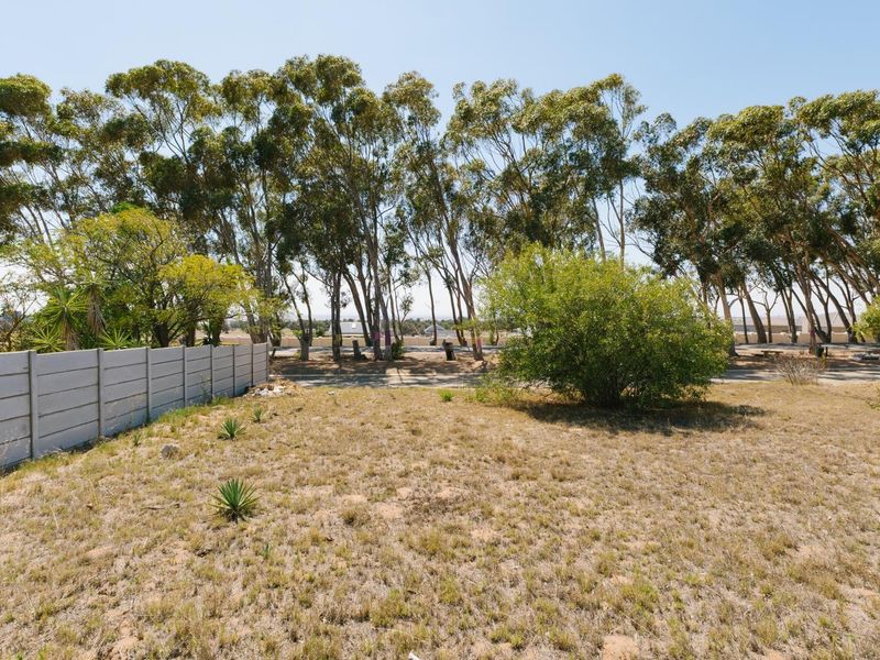 LARGE PLOT -  SERIOUS VALUE - DON’T MISS THIS - Photo 6