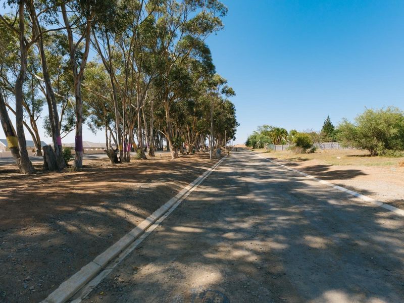 LARGE PLOT -  SERIOUS VALUE - DON’T MISS THIS - Photo 1