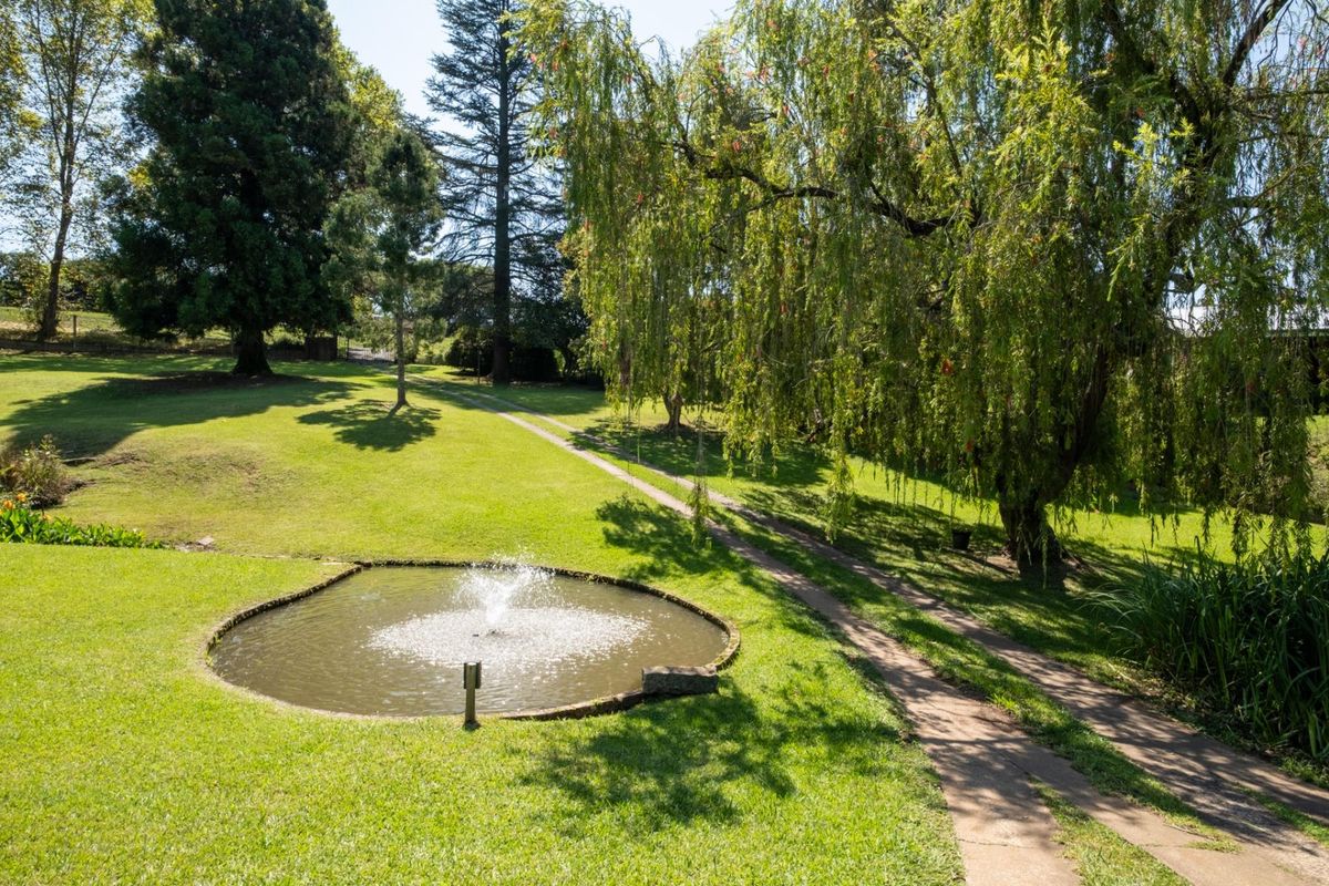 Magnificent Tree-Filled Garden, Full Solar and Endless Potential in Prime Greendale - Photo 3