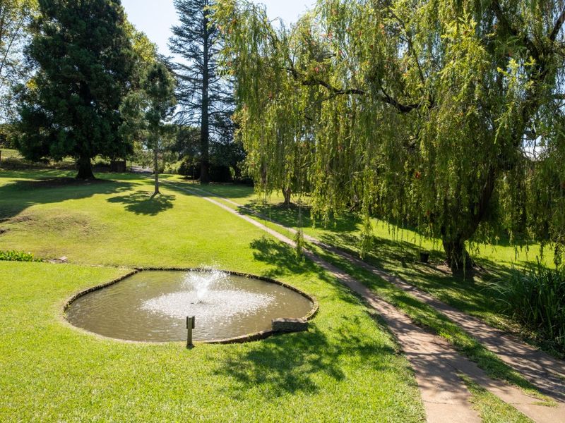 Magnificent Tree-Filled Garden, Full Solar and Endless Potential in Prime Greendale - Photo 3