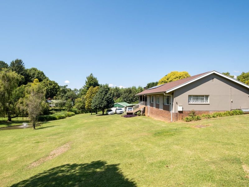 Magnificent Tree-Filled Garden, Full Solar and Endless Potential in Prime Greendale - Photo 2