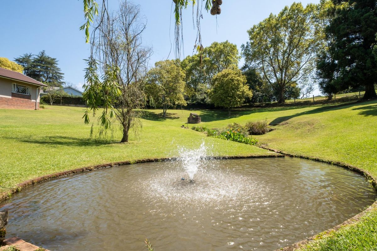 Magnificent Tree-Filled Garden, Full Solar and Endless Potential in Prime Greendale - Photo 4