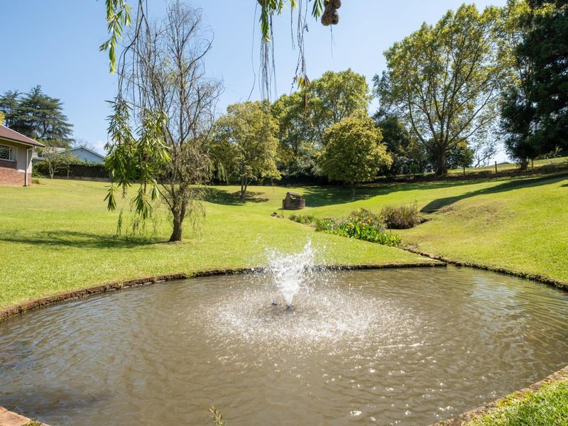 Magnificent Tree-Filled Garden, Full Solar and Endless Potential in Prime Greendale - Photo 4