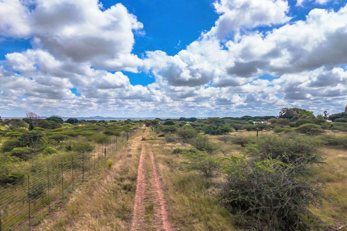 Ready to Grow: 4ha with Strong Borehole - Photo 4