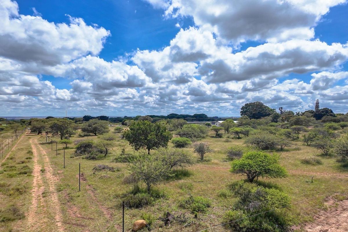 Ready to Grow: 4ha with Strong Borehole - Photo 2