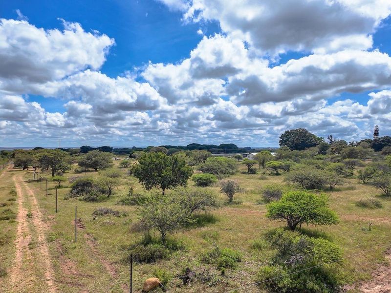 Ready to Grow: 4ha with Strong Borehole - Photo 2