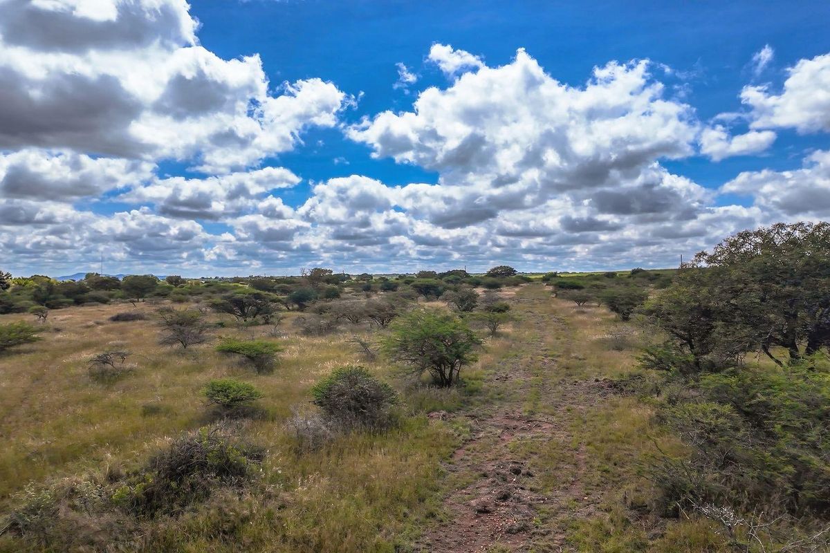Ready to Grow: 4ha with Strong Borehole - Photo 3