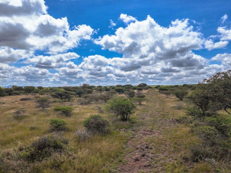 Ready to Grow: 4ha with Strong Borehole - Photo 3