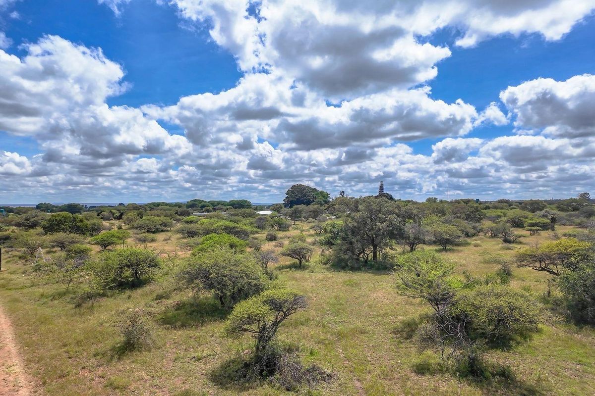 Ready to Grow: 4ha with Strong Borehole - Photo 5