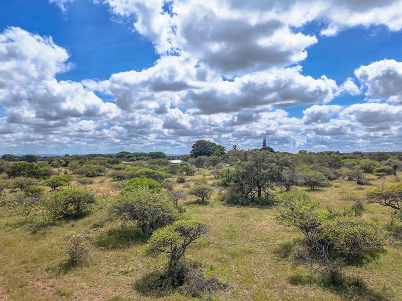 Ready to Grow: 4ha with Strong Borehole - Photo 5