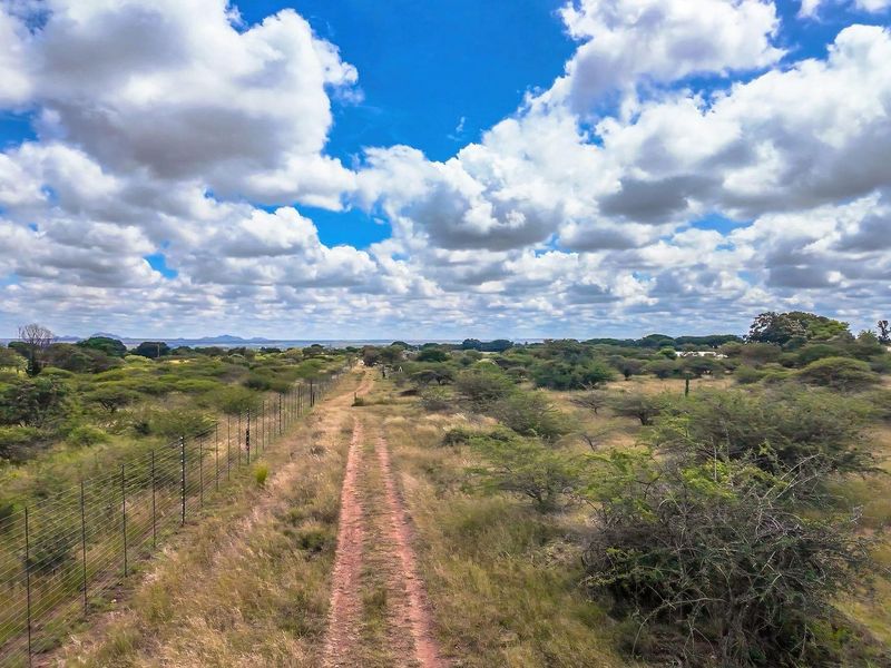 Ready to Grow: 4ha with Strong Borehole - Photo 4