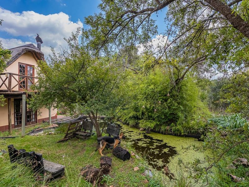 Farm For Sale in Rietfontein AH Centurion - Photo 7