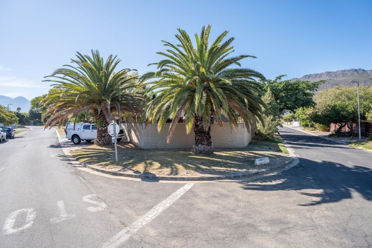 Spacious Family Home in Sought-After Dobson! - Photo 3