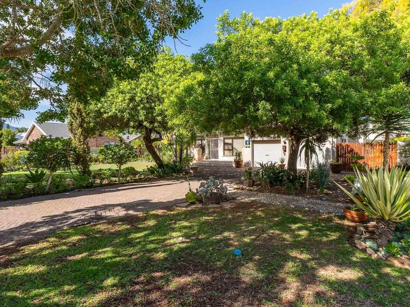 Charming, Well-Maintained Family Home in the Sought-After Avenues of Robertson - Photo 3