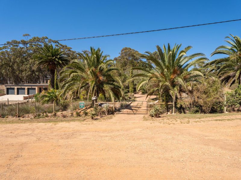 Historic Mill House for Sale in Napier with second cottage and double garaging R3,5m - Photo 2
