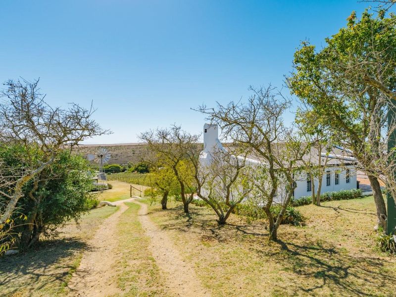 "Muddy Waters" Small Holding House and outbuildings in Napier, Cape  R5,3m - Photo 6
