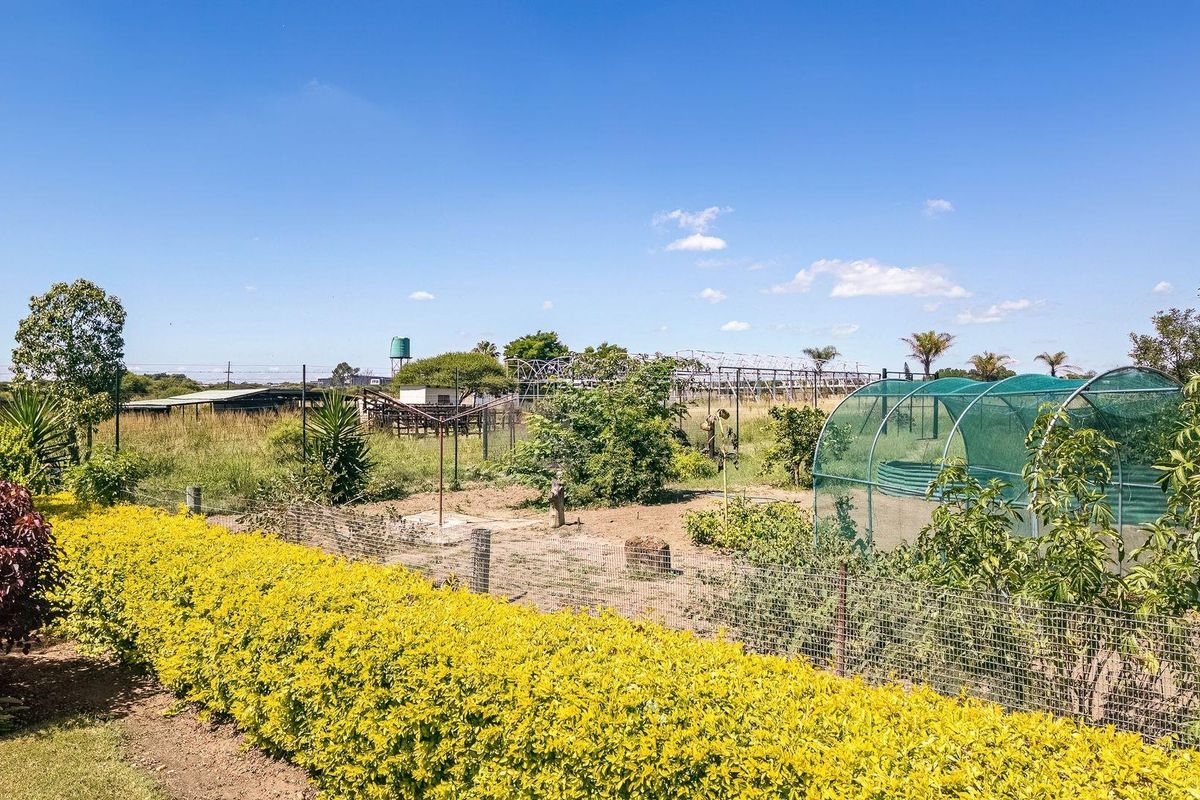 Your Private Farm Retreat Just Minutes from Town - Photo 5