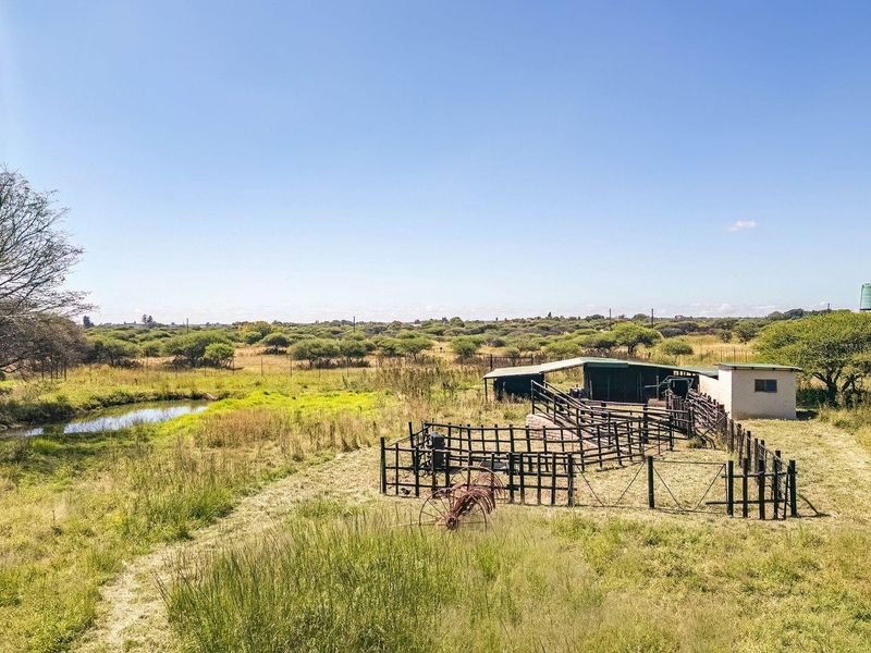 Your Private Farm Retreat Just Minutes from Town - Photo 6