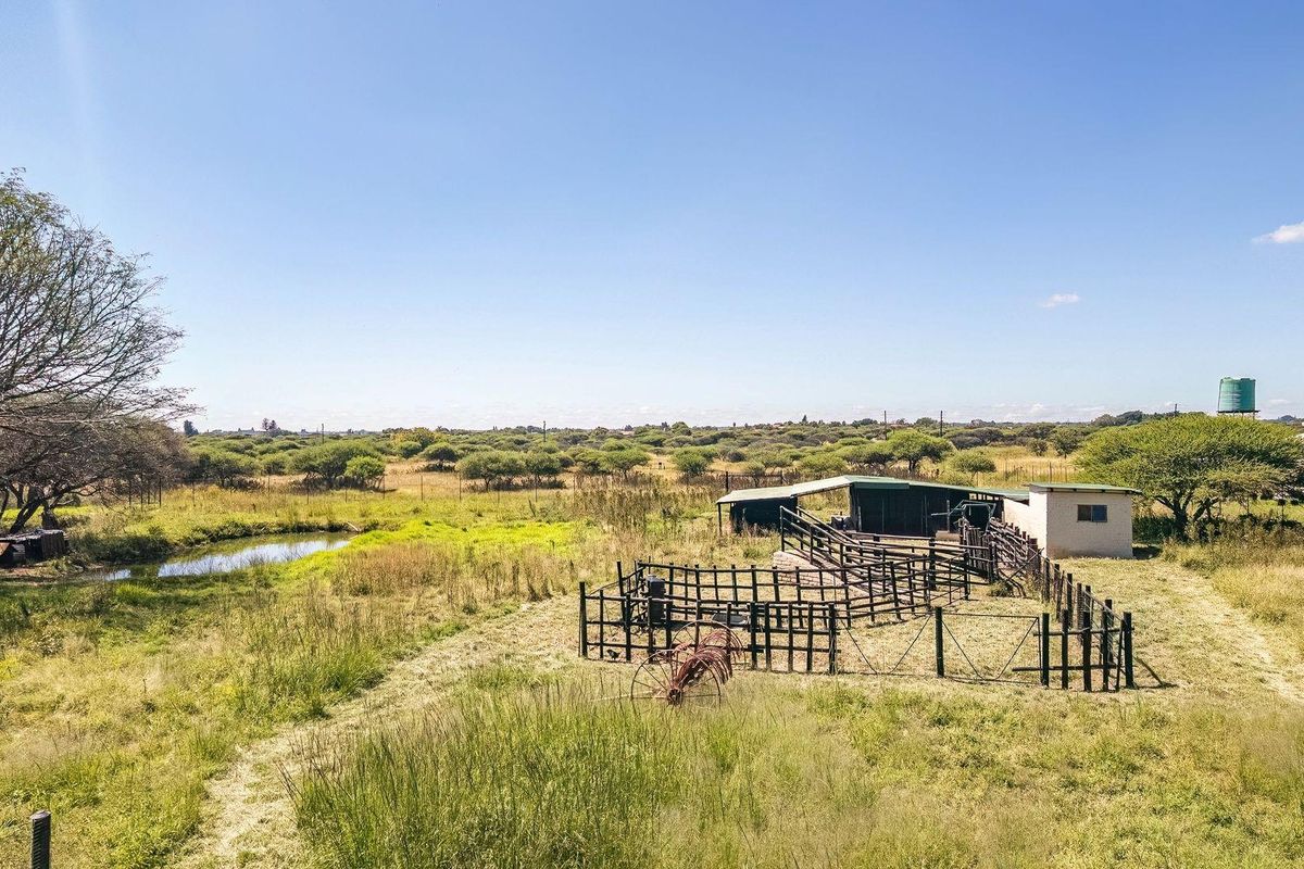 Aerial view of the farm property featuring livestock handling pens, a small shed, a water tank, and a natural pond set within open grazing land.