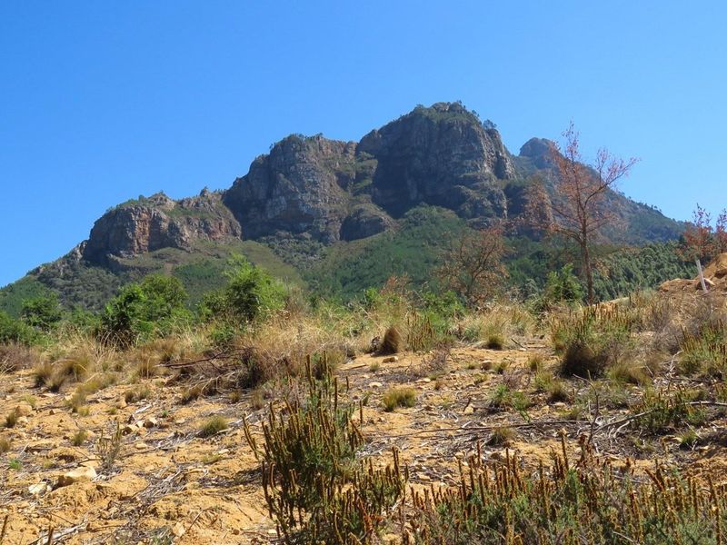 Large vacant corner stand in Mentoor Mountain Estate - Photo 6