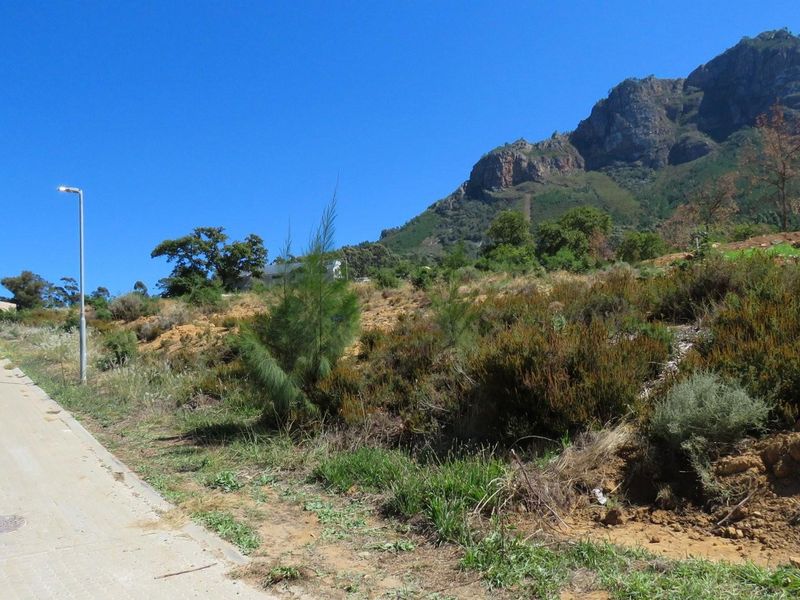 Large vacant corner stand in Mentoor Mountain Estate - Photo 7