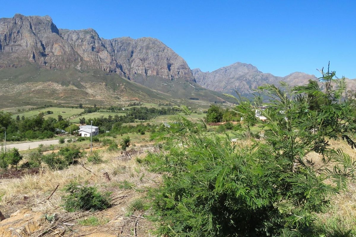 Large vacant corner stand in Mentoor Mountain Estate - Photo 2