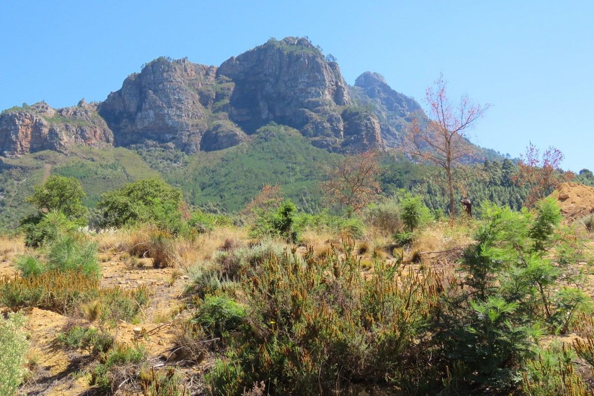 Large vacant corner stand in Mentoor Mountain Estate - Photo 5